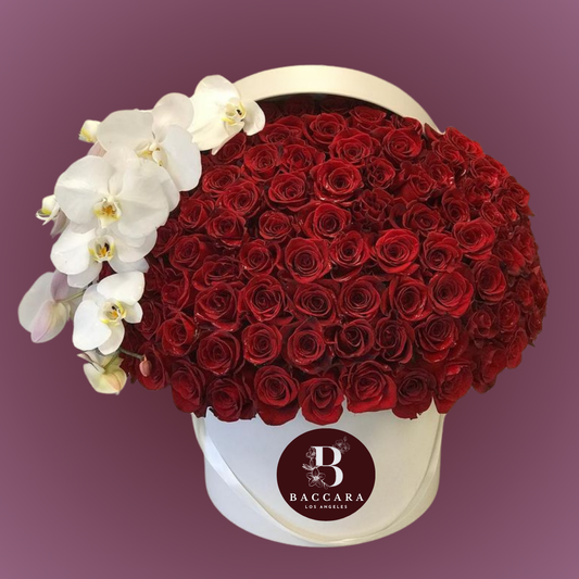 Crimson & Ivory Elegance: Red Roses and White Orchid Box